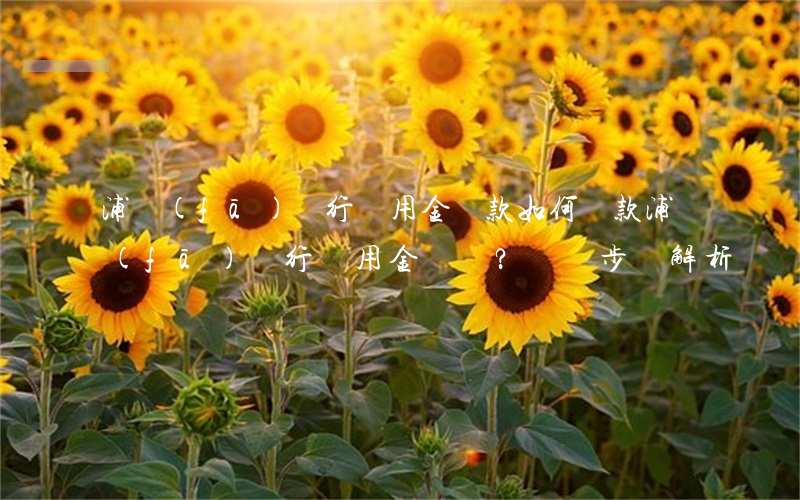 浦發(fā)銀行萬用金還款，如何還款浦發(fā)銀行萬用金？詳細步驟解析